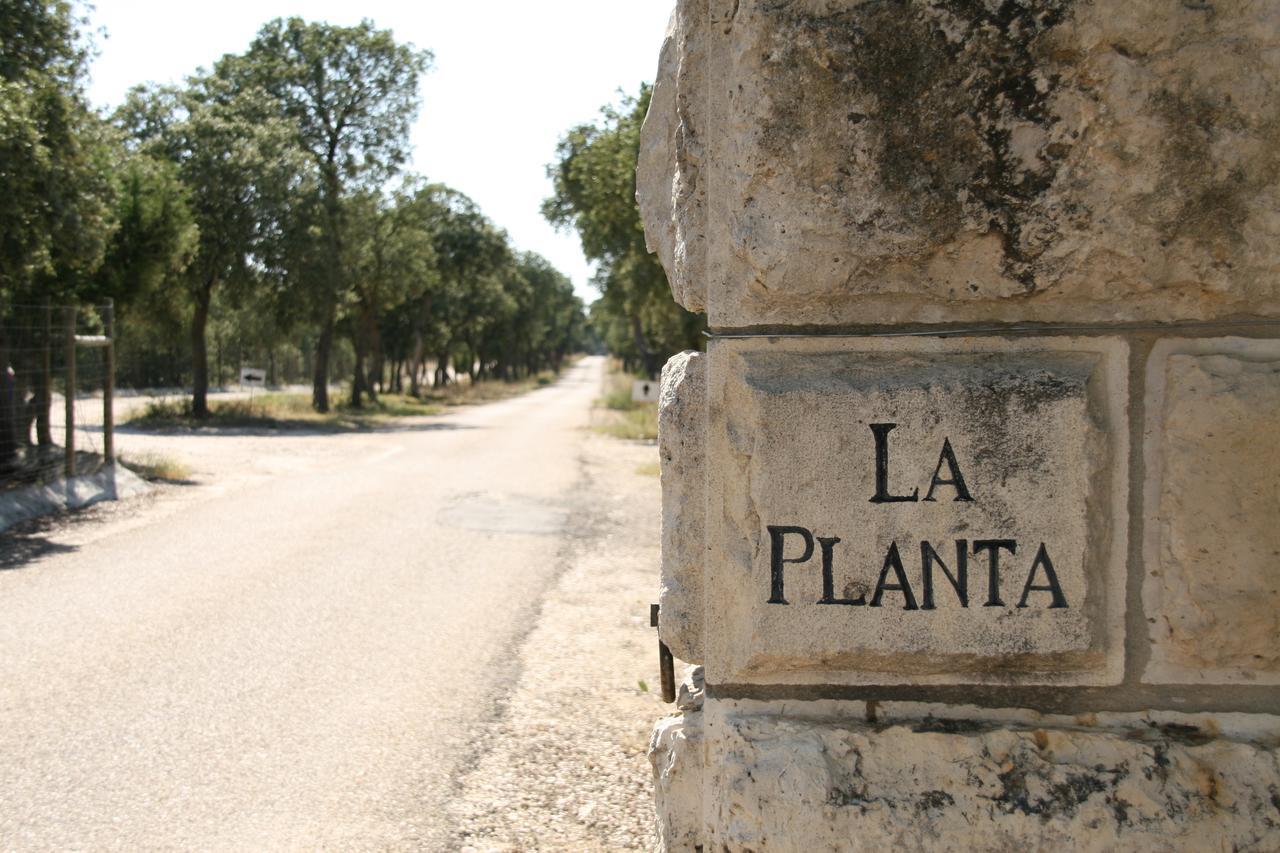 Готель La Casita De La Planta Кінтанілья-де-Онесімо Екстер'єр фото